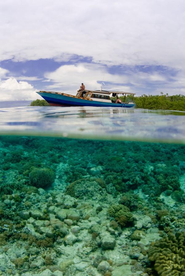 Living Colours Diving 2* Manado